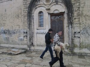 Hombres en Georgia con una oveja