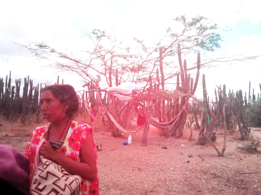 Mujeres vendiendo bolsos wayúus