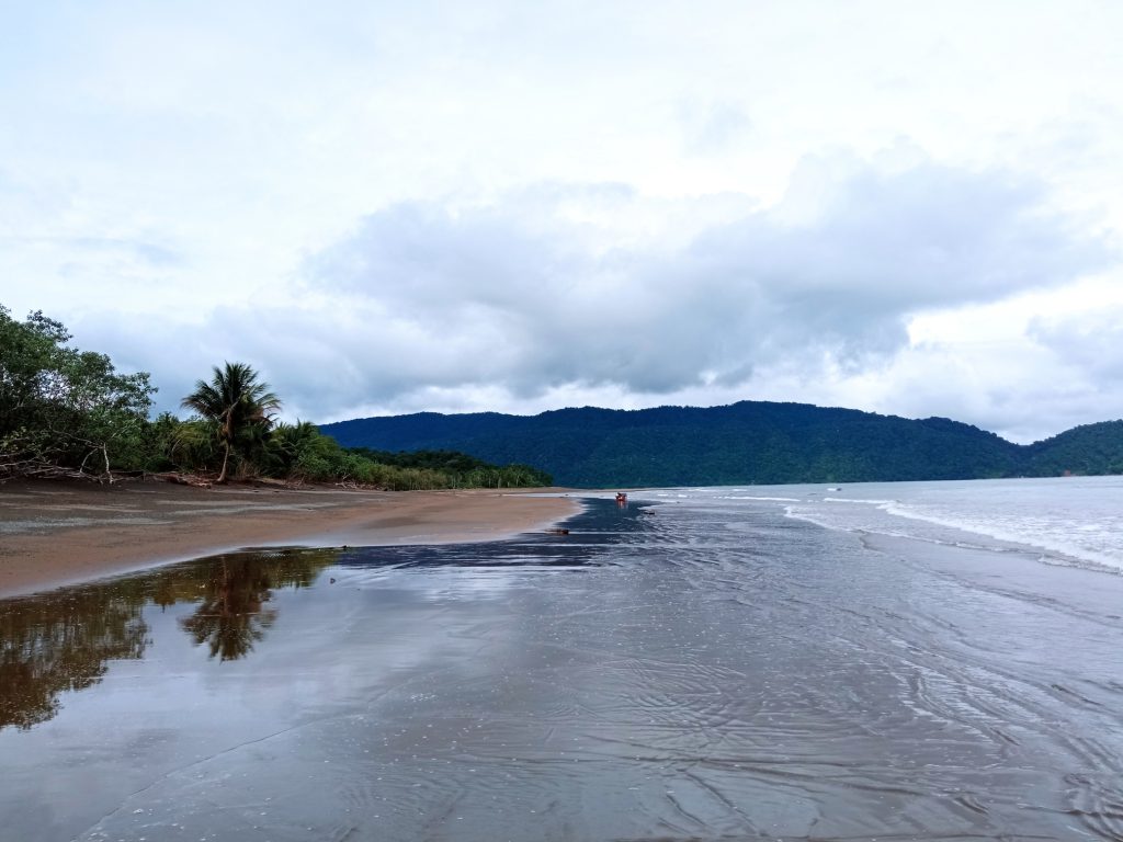 Mecana es una playa inmensa, virgen, de las playas más bellas de Colombia