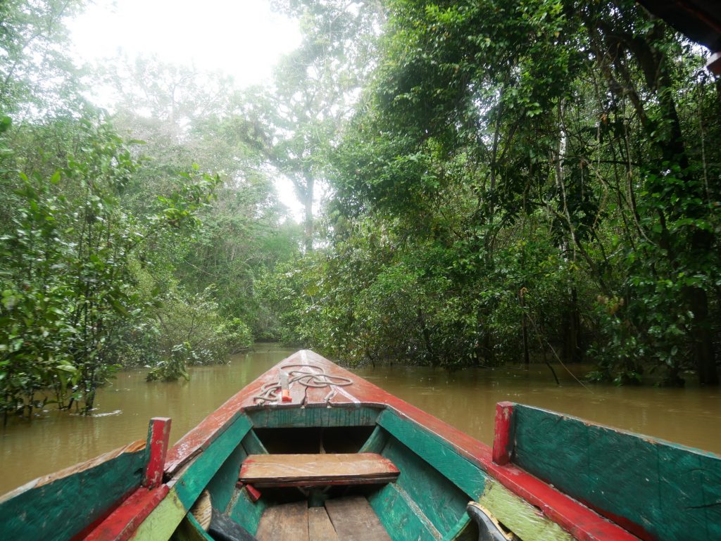 La selva inundada se da en la temporada de lluvias en el Amazonas colombiano