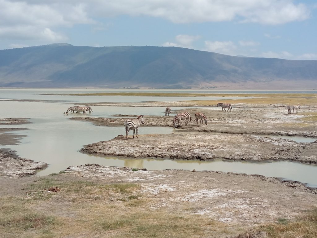 Te contamos cuánto cuesta hacer un safari en Tanzania: Serengeti y cráter del Ngorongoro