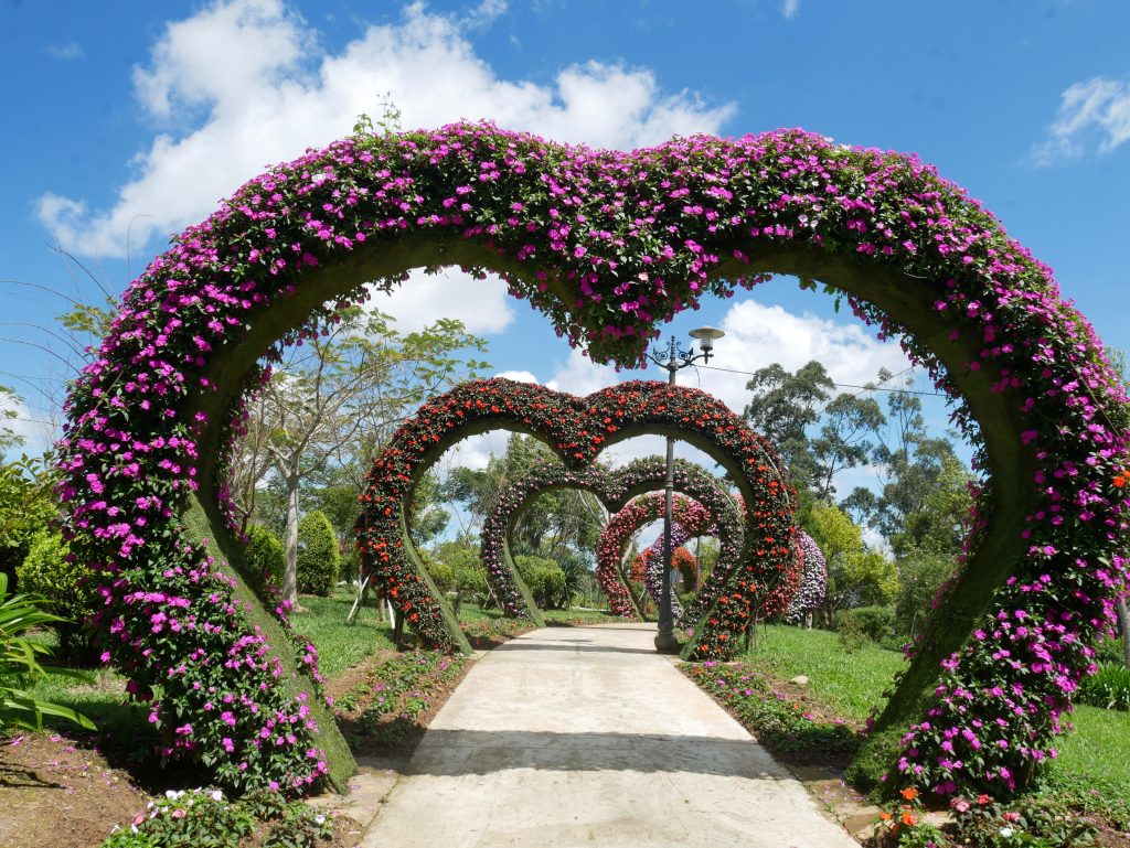 Jardín de Flores en Da Lat